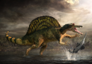Planet Dinosaur – The official book of the BBC TV series out now