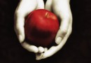 Would you rather your daughter read Twilight or Middlemarch?