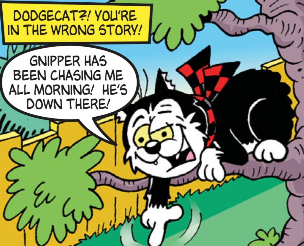roger-the-dodger-dodge-cat