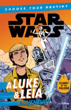 A Luke and Leia Adventure